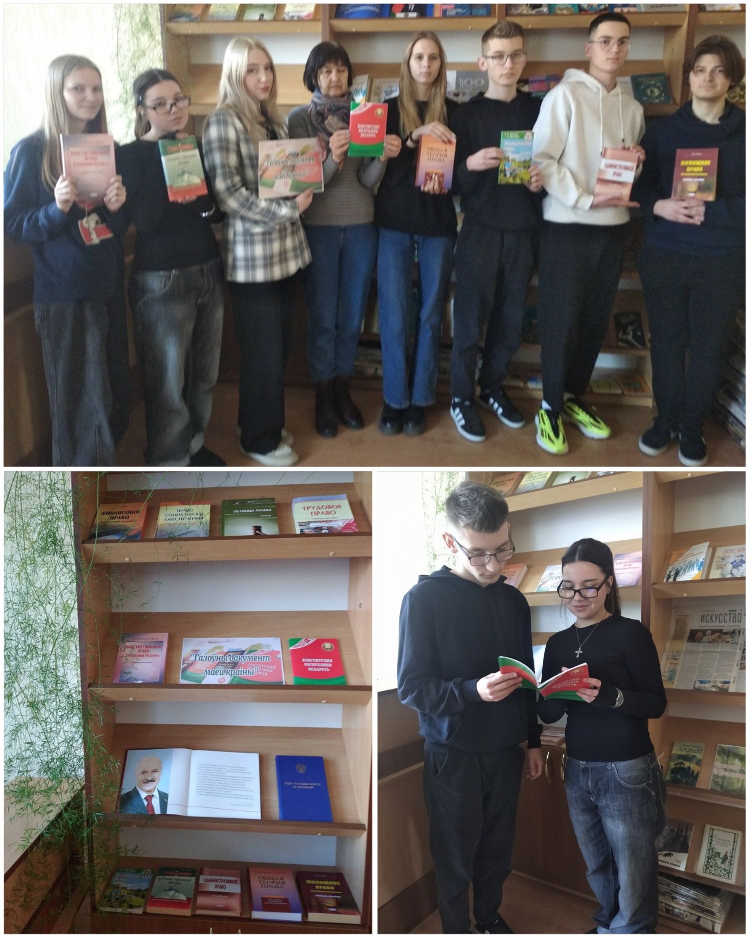 Книжная выставка ко Дню Конституции Республики Беларусь