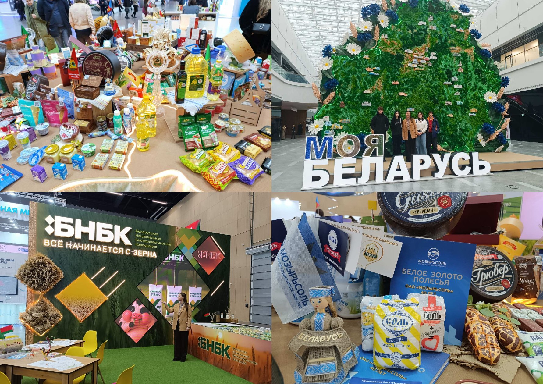 Выставка "Моя Беларусь" в выставочном центре BELEXPO