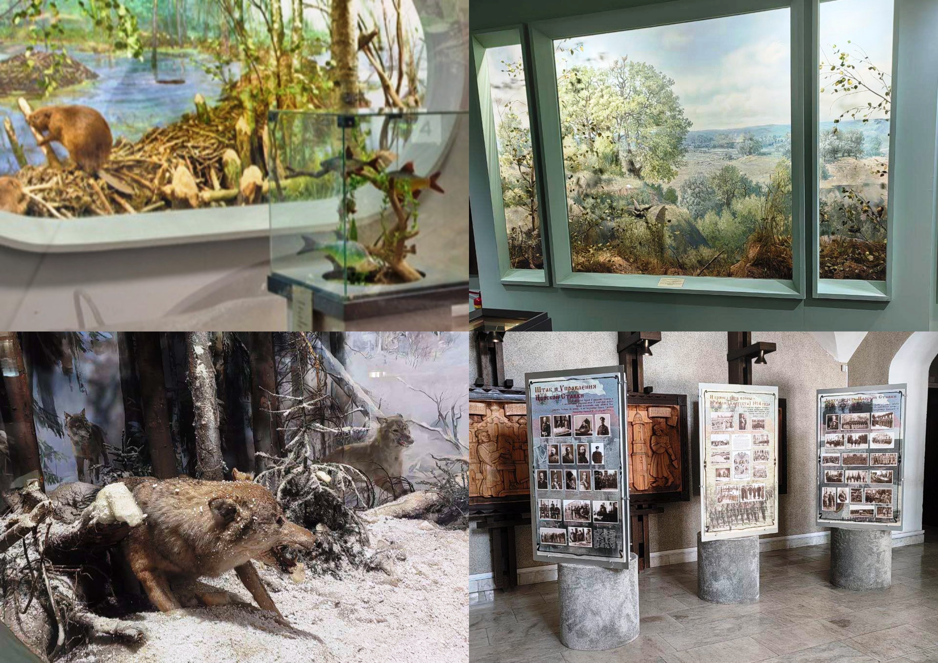 Неделя цикловой комиссии естественно-математических предметов и физической культуры