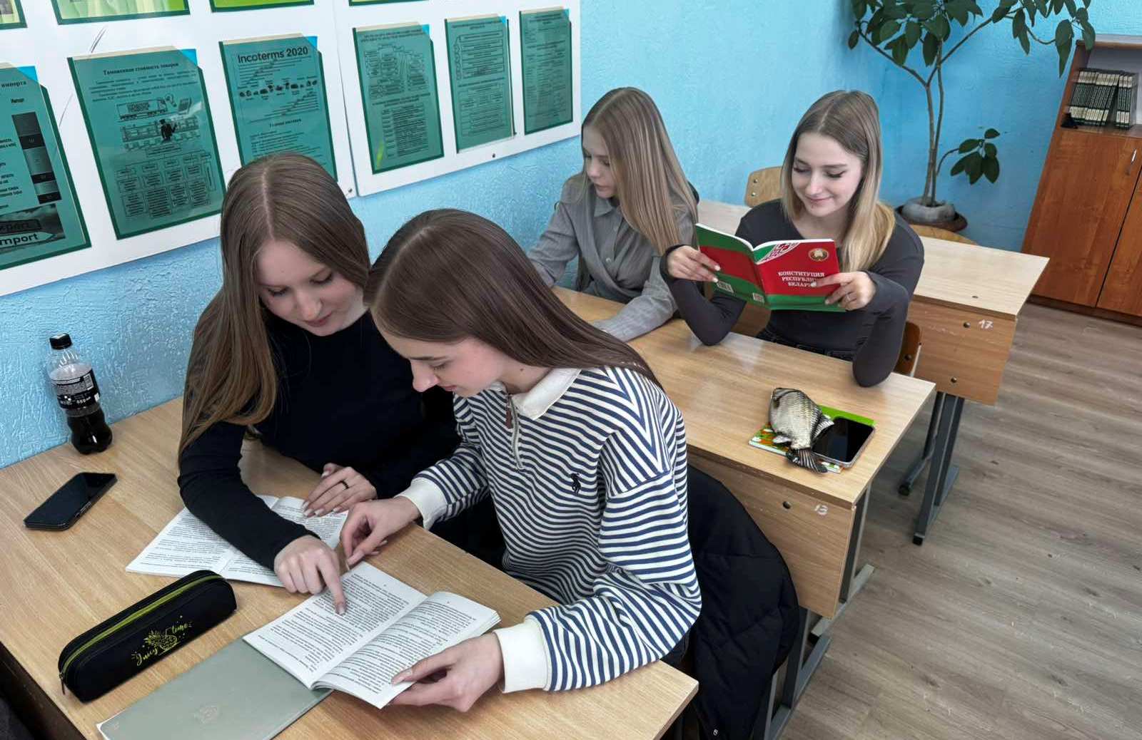 Единый урок, посвящённый Дню Конституции Республики Беларусь