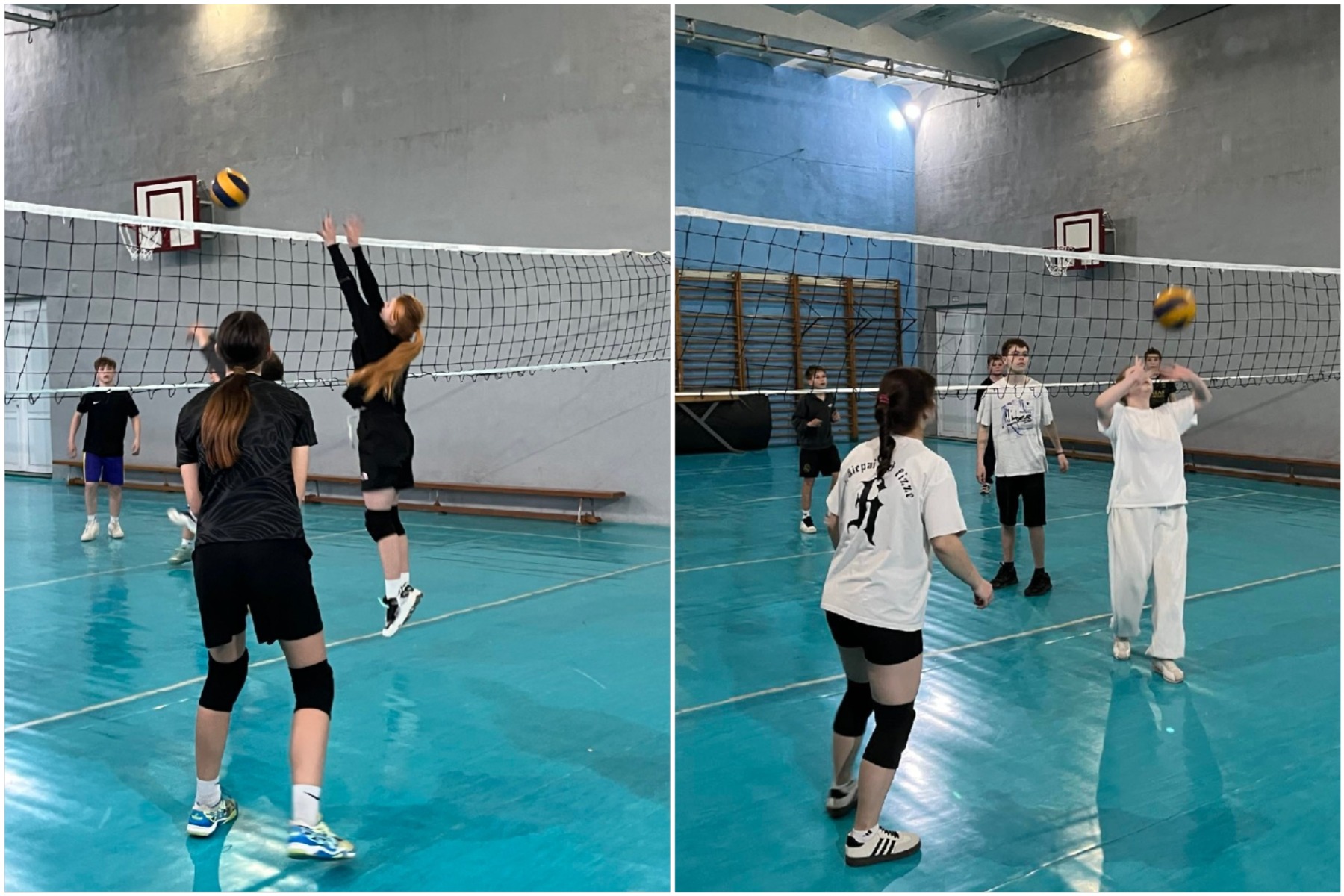 Дружеская встреча по волейболу